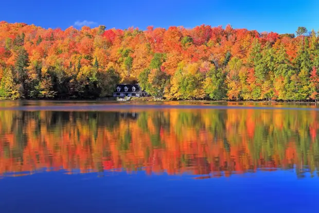 Herbstliche Landschaft mit vielen bunten Bäumen und einer Spiegelung im Wasser.
