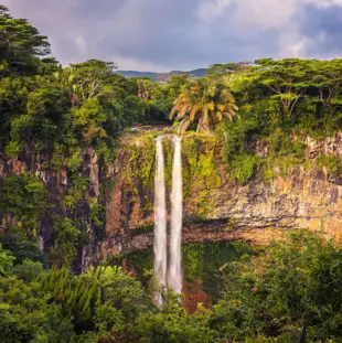 Wasserfall auf Mauritius der durch die Grüne Oase hervorgehoben wird.