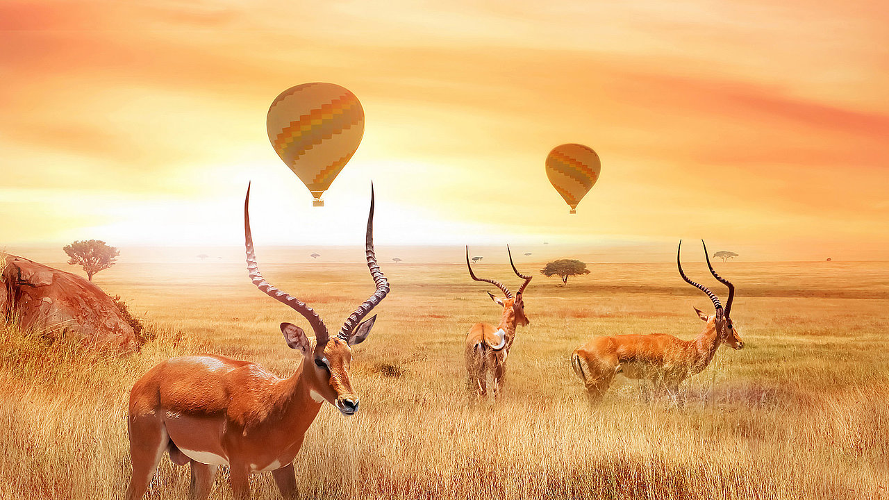 Tansania, Serengeti, Heißluftballon