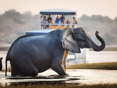 Botswana & Victoria Falls Kleingruppenreise