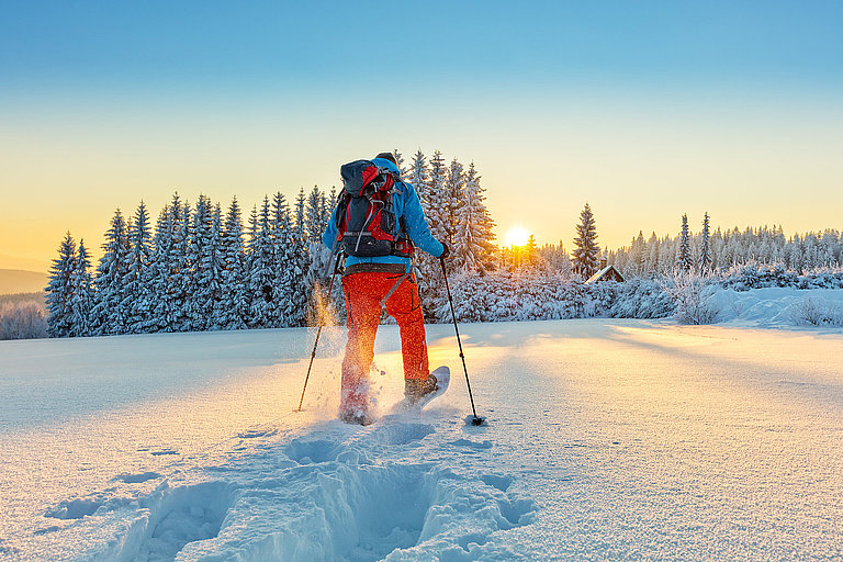 Person in roter Winterkleidung im Schnee vor verschneitem Wald bei Abendlicht.