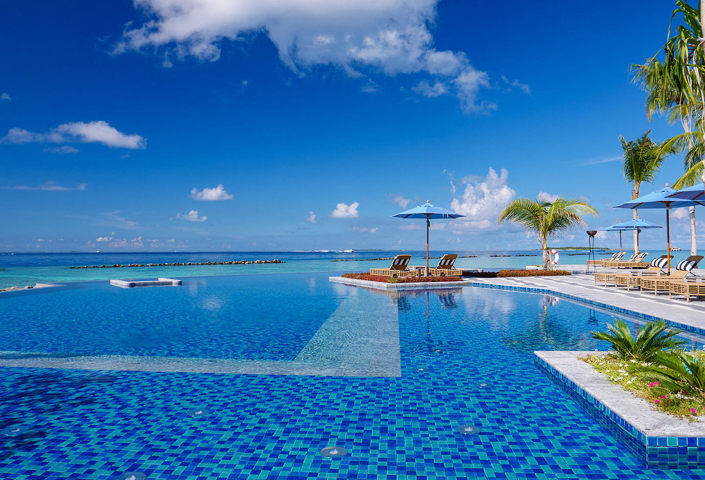 Großer Infinitypool-Bereich mit Palmen, direkt am Meer gelegen