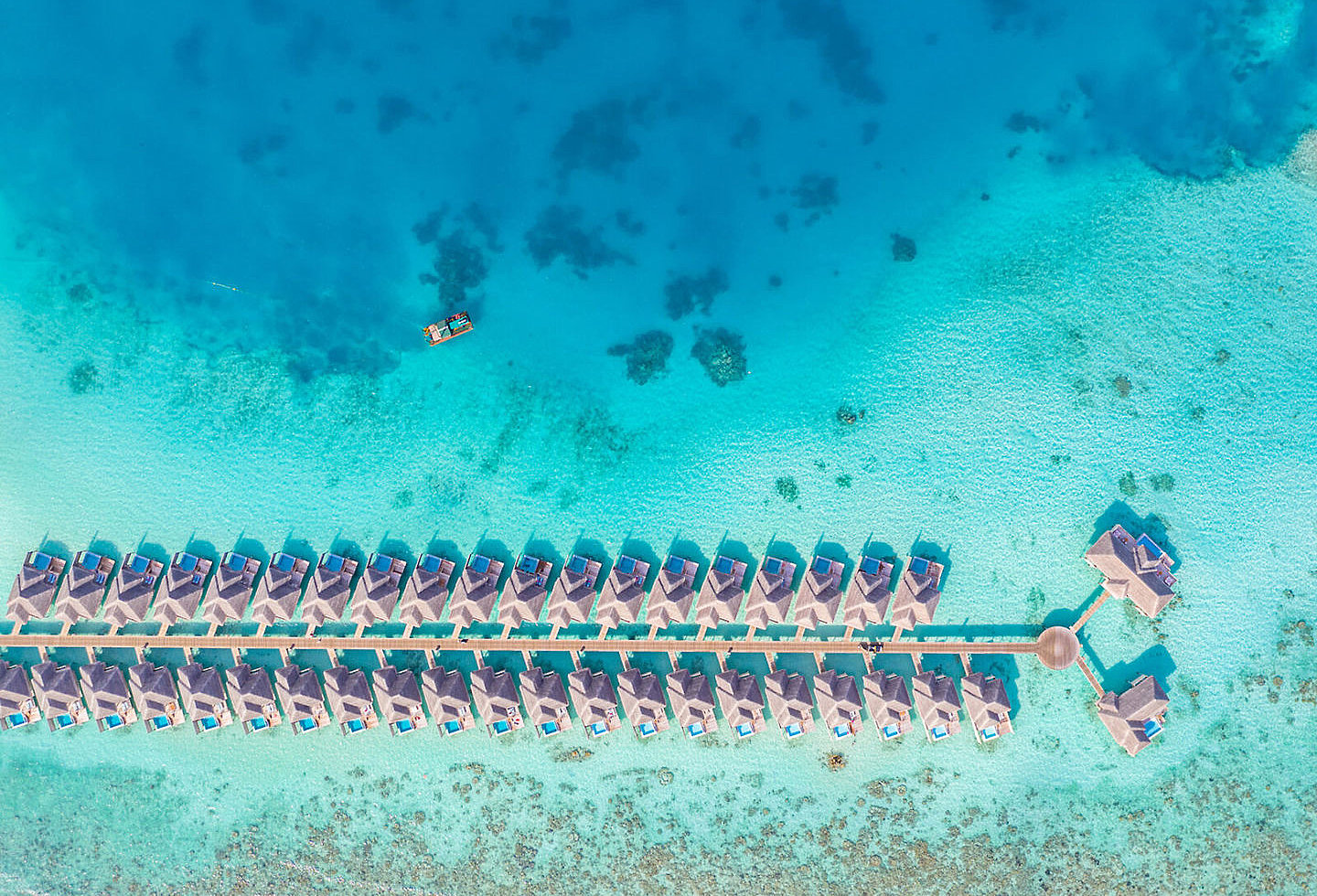Wasserbungalows von oben fotografiert, alle in einer geraden Linie