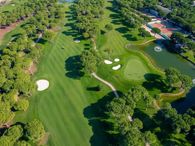 Luftaufnahme eines Golfplatzes umgeben von Bäumen und kleinen Wohnhäusern.