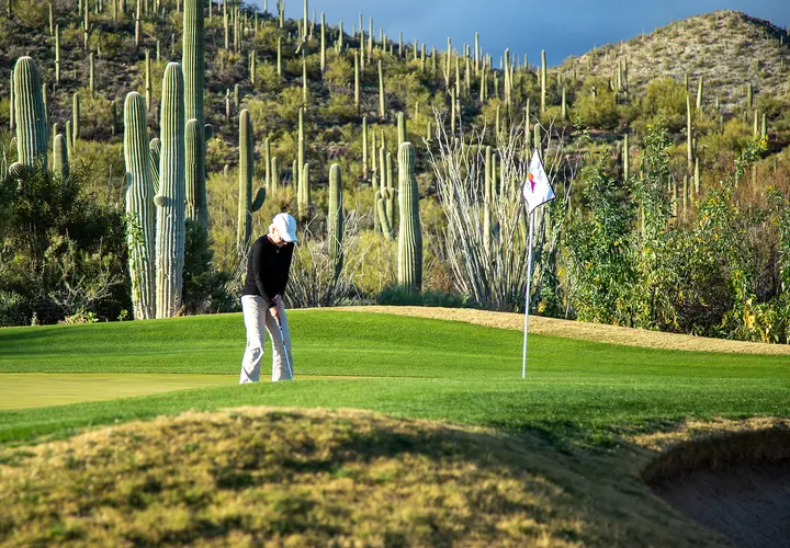 Arizona