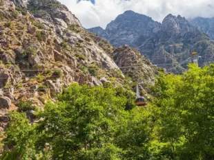 Seilbahn fährt über grüne Bäume hinauf in die felsigen Berge bei Palm Springs.