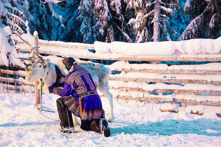 Rentier steht neben einem Menschen mit blau-roter Jacke in winterlicher Landschaft.