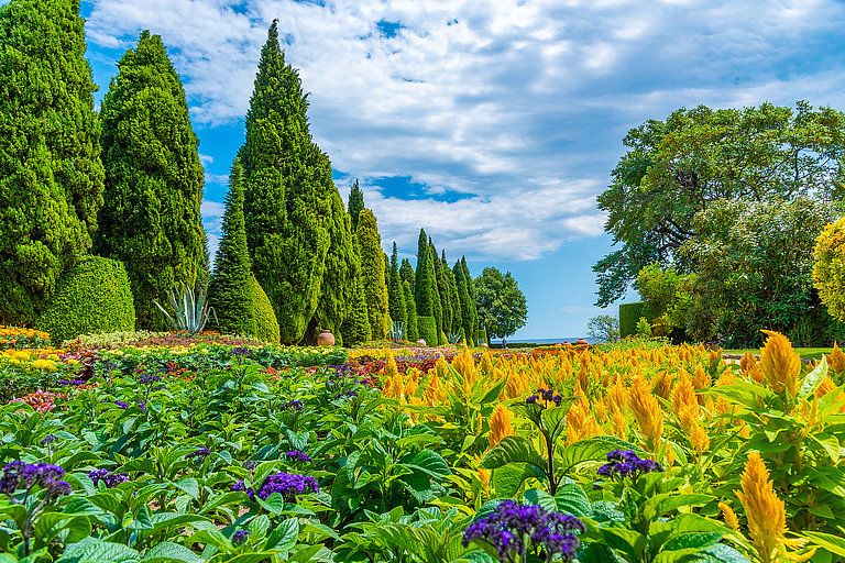 Blühender Garten mit bunten Blumenbeeten und hohen Bäumen unter blauem Himmel.