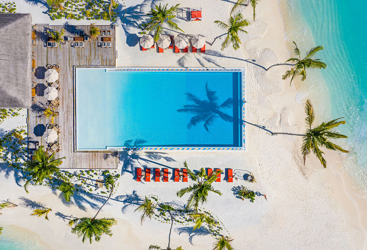Großer Pool mit Terrasse direkt am Strand aus der Vogelperspektive
