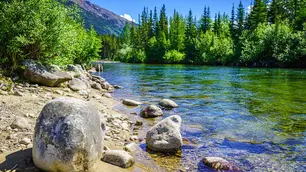 Die Kanadischen Berge mit grüner Landschaft und einem klaren Fluss mit Steinen.