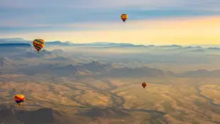 Vier Heißluftballons schweben bei Sonnenaufgang über der Sonora-Wüste in Arizona.