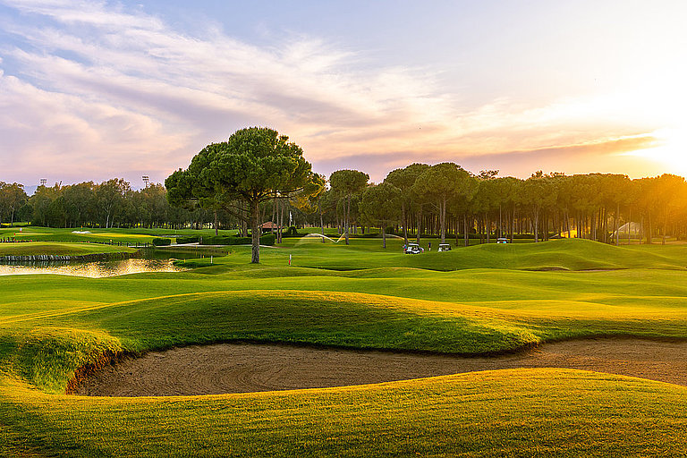 Panoramablick auf einen Golfplatz mit vielen Bäumen und blauem Sommerhimmel.
