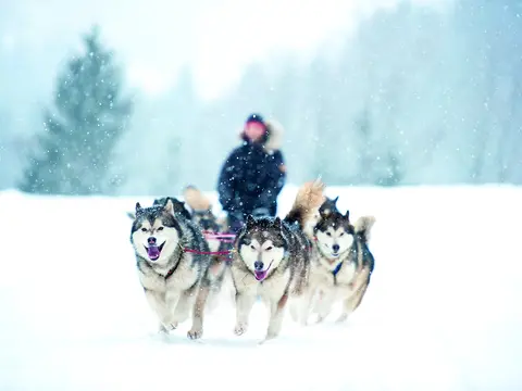 Nordnorwegen Wintermärchen Skandinaviens eindrucksvollste Winterlandschaft