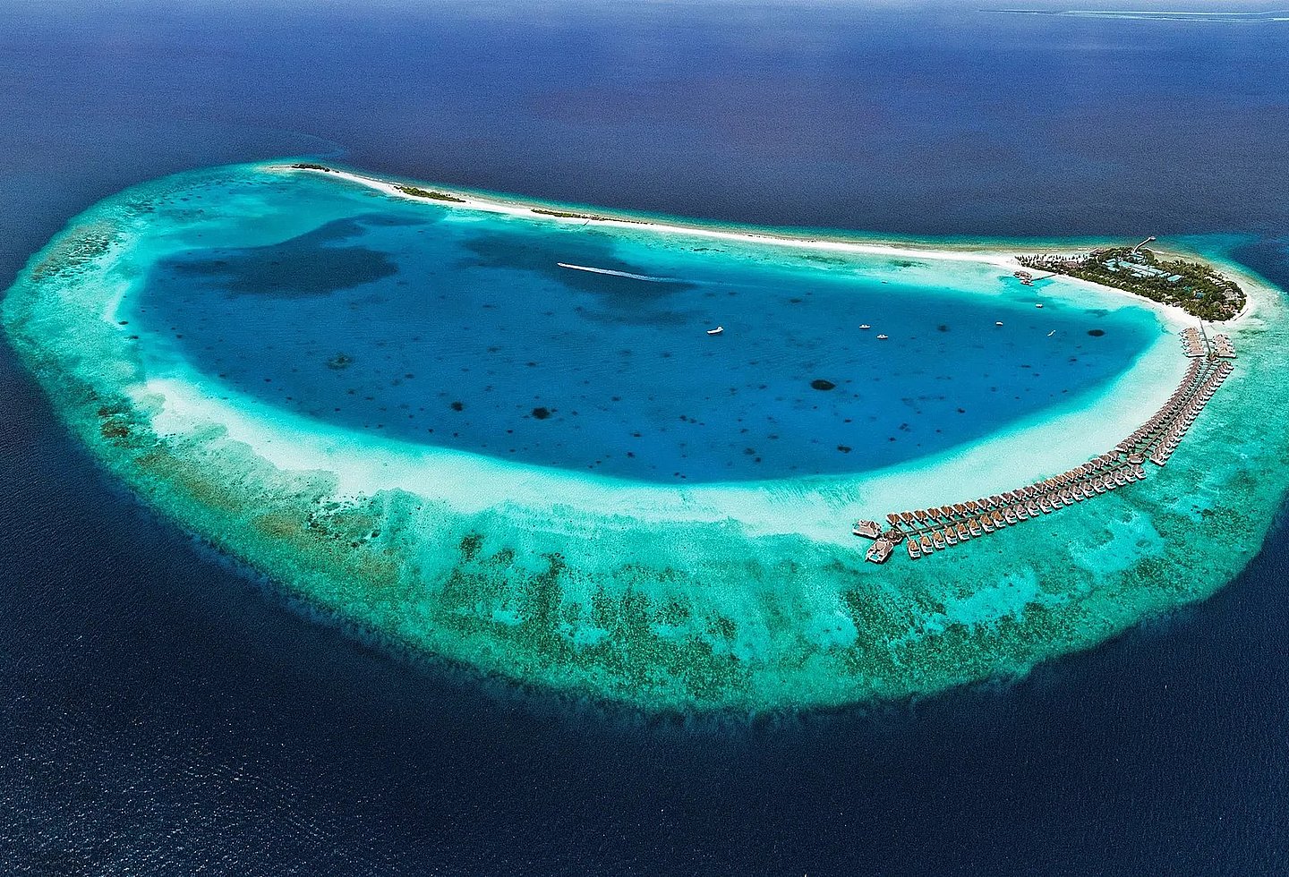 Luftaufnahme eines ringförmigen Korallenriffs mit türkisblauer Lagune im Meer.