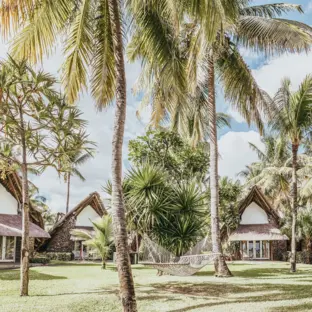 Tropischer Garten mit Palmen, hängenden Ästen und Bungalows im sonnigen Resort.
