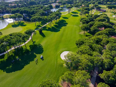 USA Florida Swing