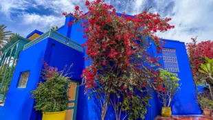 Leuchtend blaues Haus mit roten Bougainvillea-Blüten unter hellem Himmel.