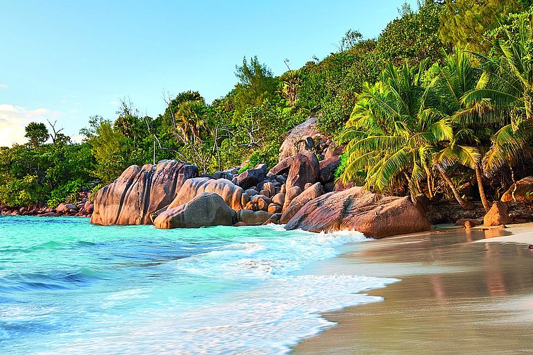 Tropischer Strand mit Palmen, Felsen und türkisblauem Meer unter blauem Himmel.