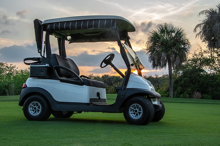 Golfcart auf einem Golfplatz in Florida mit Palmen und üppiger grüner Landschaft.