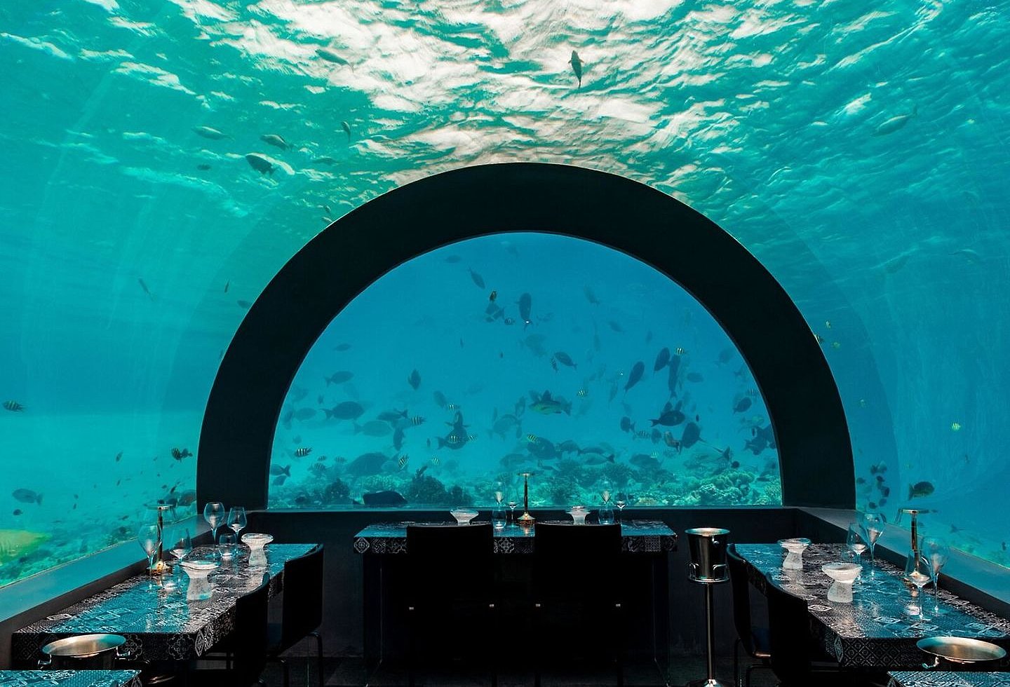 Unterwasserrestaurant mit Panoramafenster und Blick in die Meereswelt.