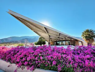 Modernes Besucherzentrum in Palm Springs hinter leuchtend pinken Bougainvilleen.