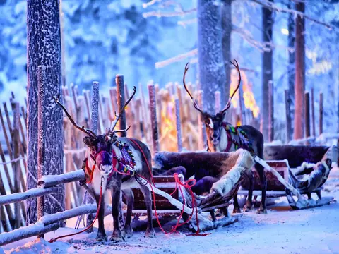 NordlichtzauberLappland & Hansestadt Riga