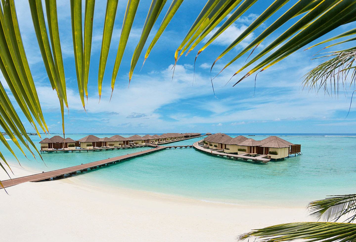 Strand mit Palmen, Liegen und Blick auf das klare, blaue Meer.