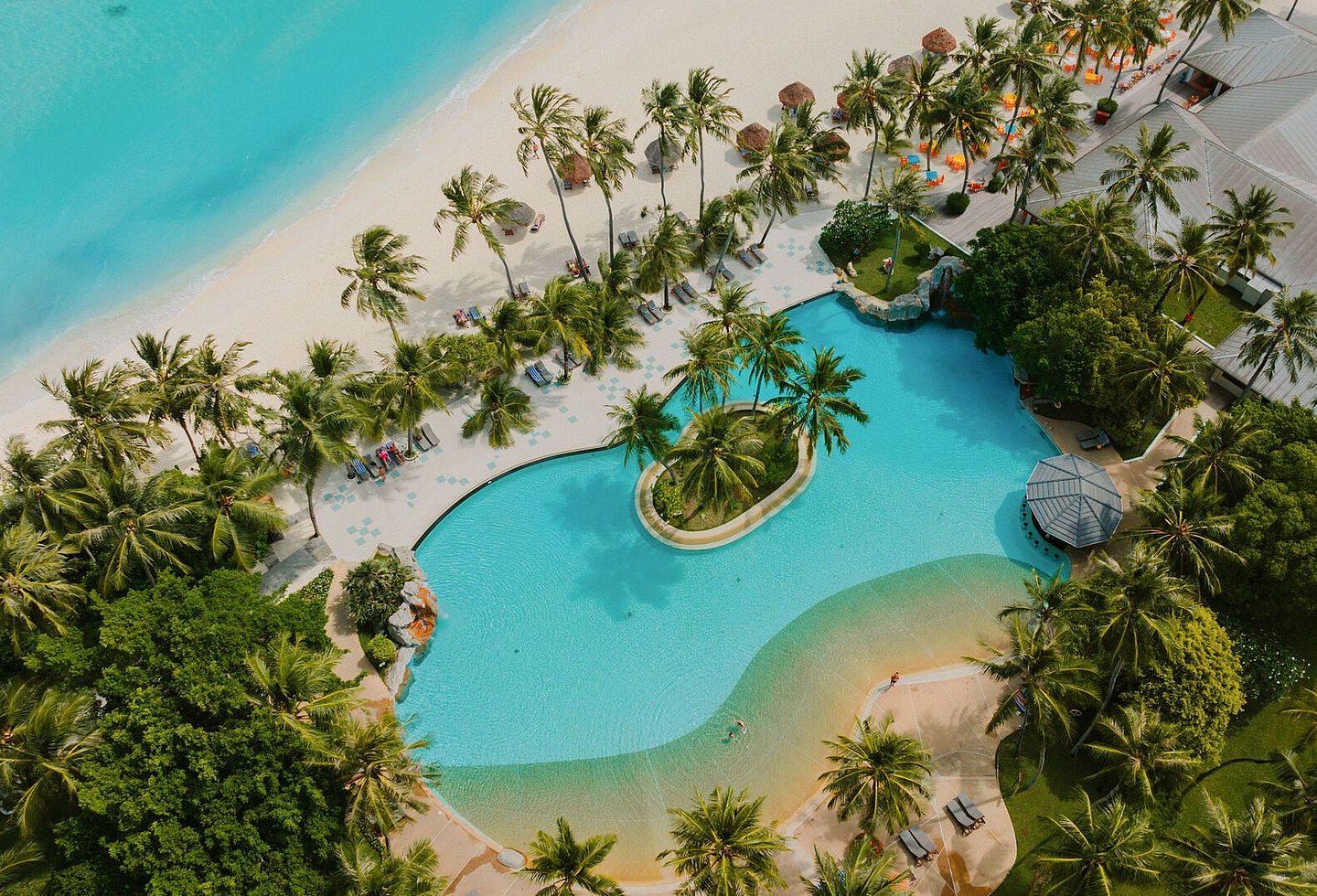Pool mit türkisfarbenem Wasser, umgeben von Palmen und tropischer Natur.