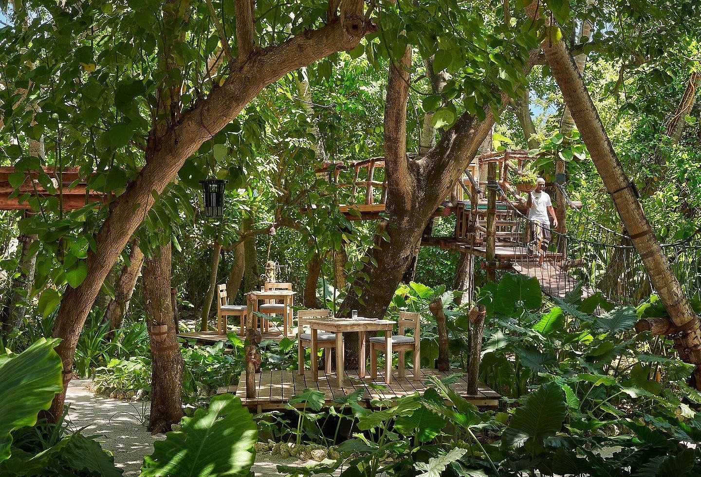 Dichte tropische Vegetation mit Wegen durch den Garten des Resorts.