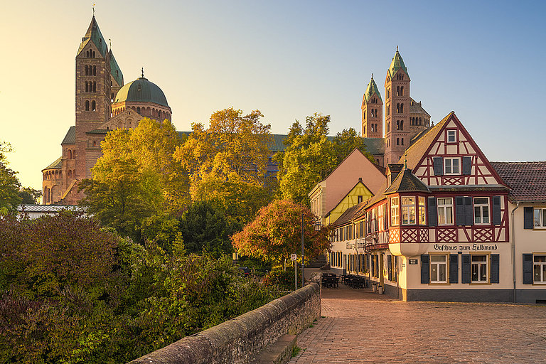 Historische Häuser und Kirche ragen über Dächer, umgeben von herbstlichen Bäumen.
