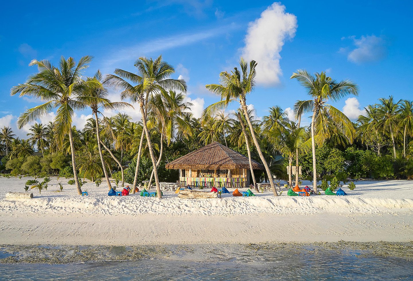 Palmen gesäumter Strand mit türkisfarbenem Meer und weißem Sand.