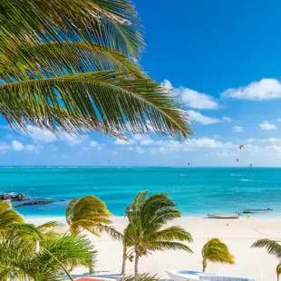 Strandpanorama auf Mauritius, Palmen im Vordergrund, kristallklares Wasser