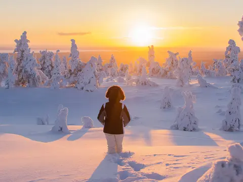 Finnland Winterzauber Lappland