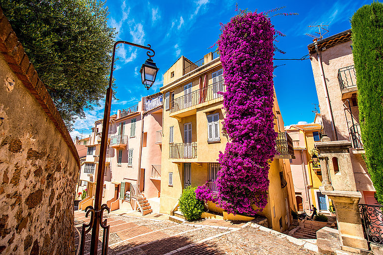 Cannes' Altstadt Le Suquet mit strahlend blauem Himmel und pinken Kletterblumen an den Fassaden.