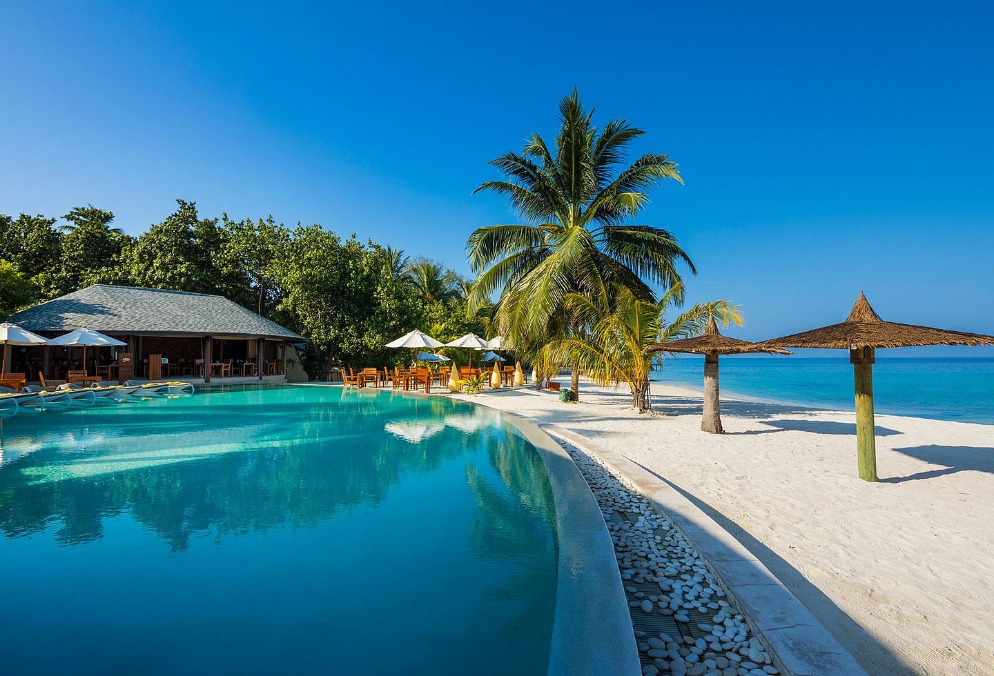 Das Bild zeigt einen Infinity-Pool mit Aussicht auf den Strand und das Meer.