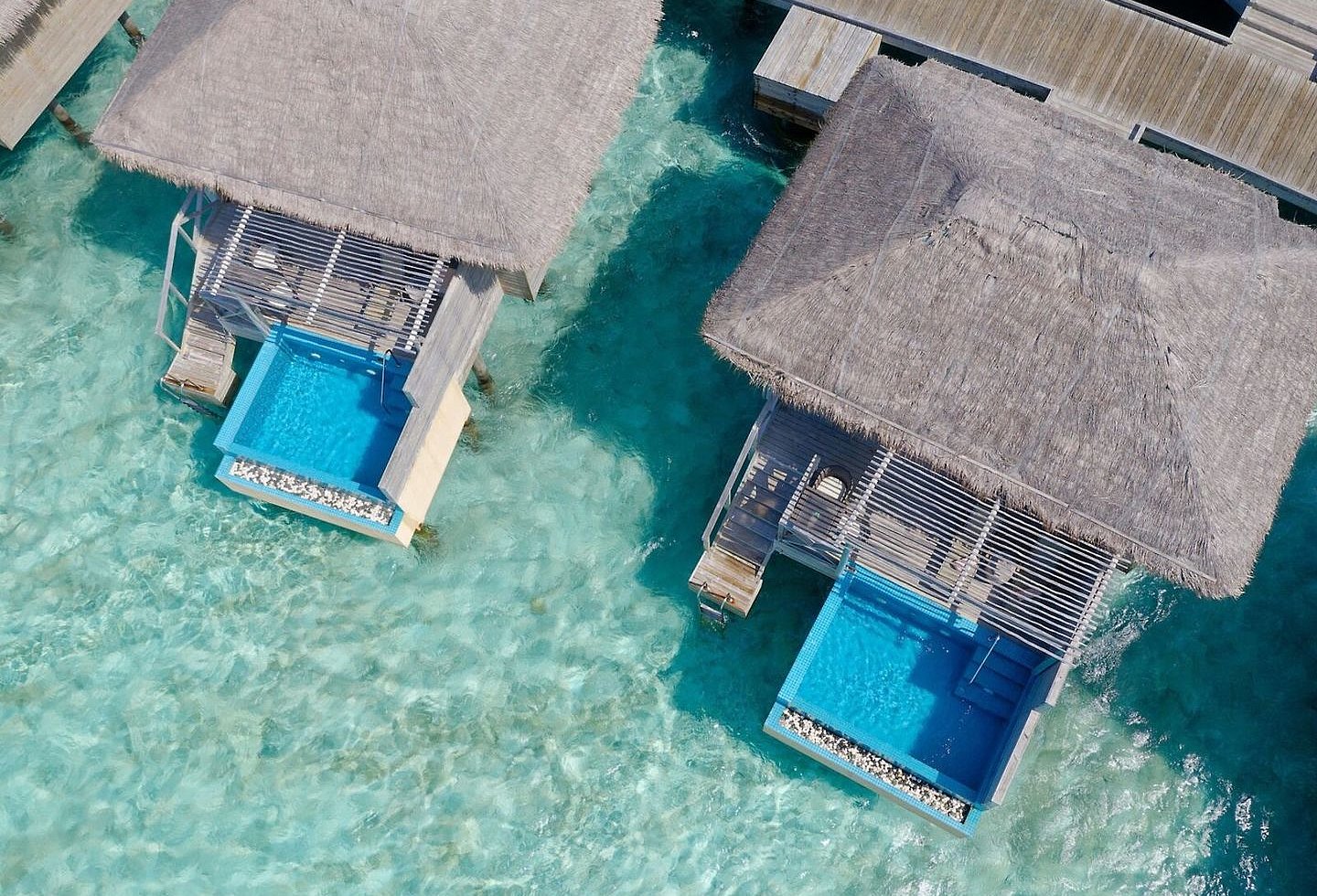 Lagoon Suite mit privatem Pool, direkt über türkisfarbenem Wasser.