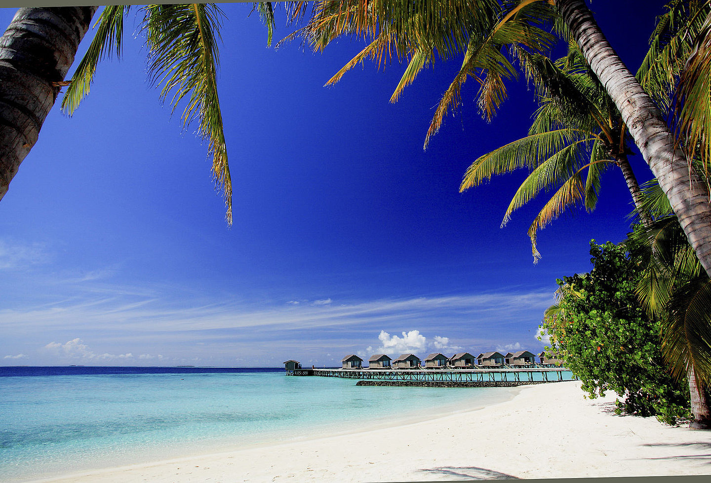 Weißer Sandstrand mit Palmen und Blick auf Wasserbungalows im Centara Ras Fushi Resort & Spa.