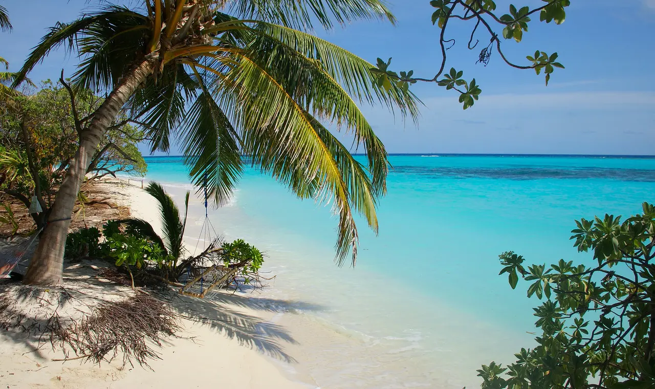 Tropischer Sandstrand mit Palmen, Schatten und türkisblauem Meer.