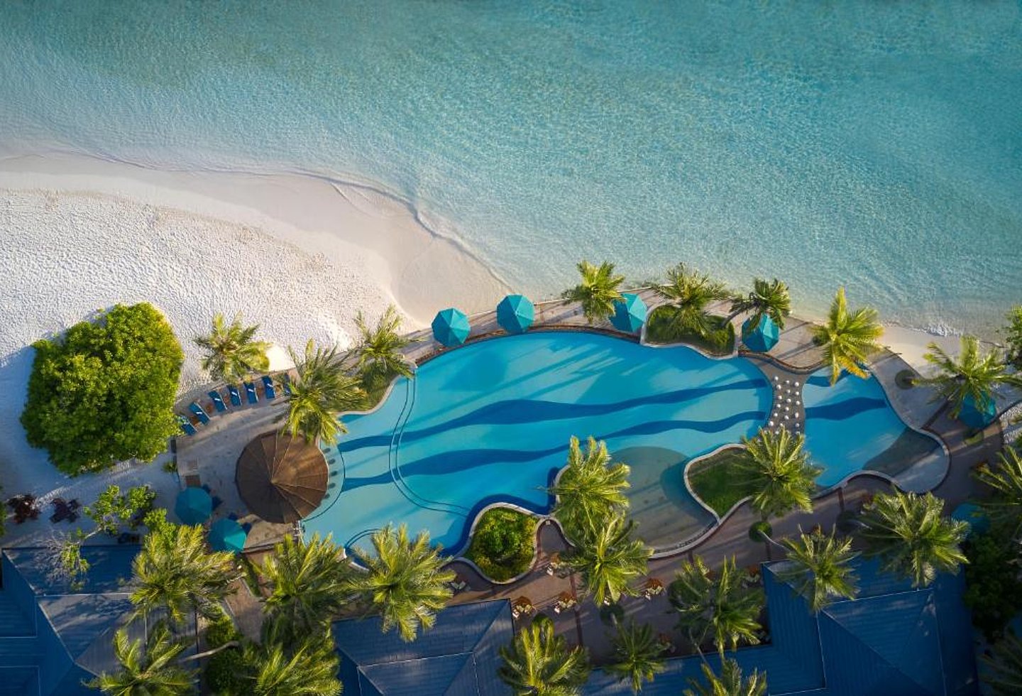 Luftaufnahme eines runden Resortpools mit Palmen direkt am türkisblauen Meer.